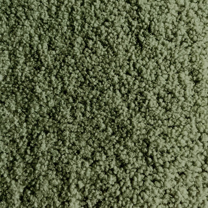 Teddy Fern